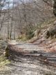 014 ein Teil des Camino.jpg